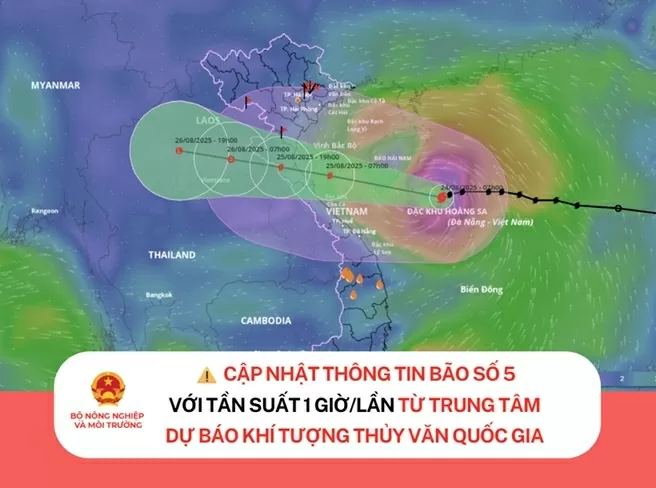 Hướng dẫn cập nhật thông tin bão số 5 Hướng dẫn cập nhật thông tin bão số 5