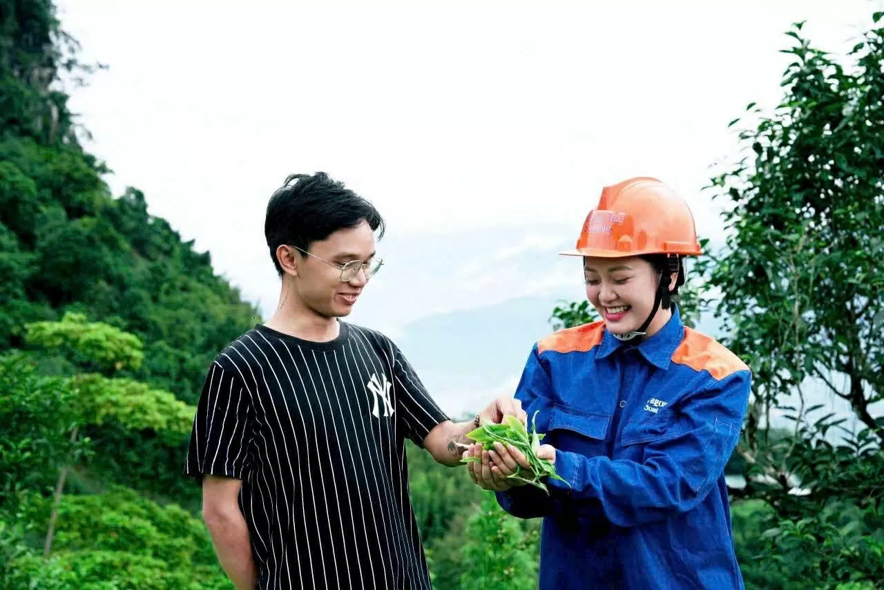 Mang hồn cốt núi rừng Tây Bắc vào giấc mơ trà Việt đi khắp thế giới Mang hồn cốt núi rừng Tây Bắc vào giấc mơ trà Việt đi khắp thế giới