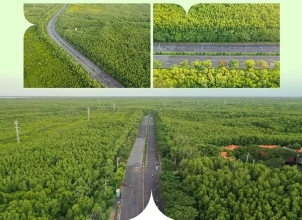 Kinh nghiệm cần biết khi chuẩn bị mua nhà Vinhomes Green Paradise Cần Giờ Kinh nghiệm cần biết khi chuẩn bị mua nhà Vinhomes Green Paradise Cần Giờ