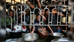 Hội Chữ thập đỏ quốc tế: Sơ tán thành phố Gaza là bất khả thi và vô lý