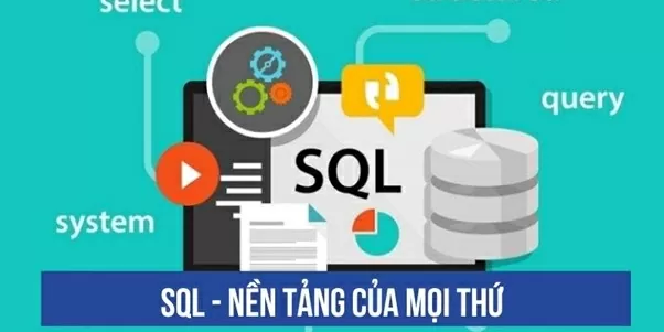SQL, Python, Tableau: 'Bộ tam quyền lực' về kỹ năng dữ liệu giúp người Việt cạnh tranh toàn cầu SQL, Python, Tableau: 'Bộ tam quyền lực' về kỹ năng dữ liệu giúp người Việt cạnh tranh toàn cầu