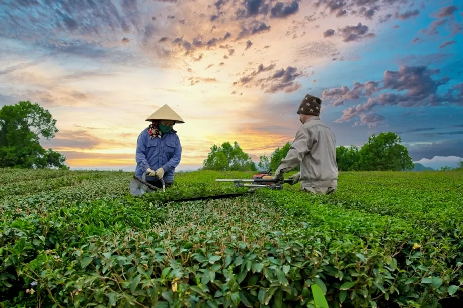Quảng Ninh: Viết tiếp hành trình xây dựng những miền quê ấm no, trù phú, vì sự hạnh phúc của người dân Quảng Ninh: Viết tiếp hành trình xây dựng những miền quê ấm no, trù phú, vì sự hạnh phúc của người dân