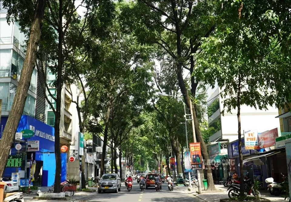 Phát triển hệ thống đô thị xanh: Giải pháp cấp thiết cho Việt Nam Phát triển hệ thống đô thị xanh: Giải pháp cấp thiết cho Việt Nam