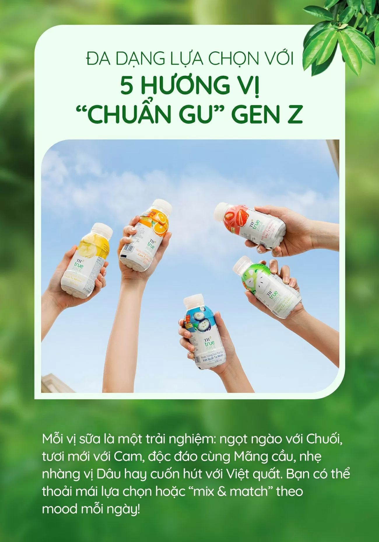 Nước uống Sữa trái cây mát lịm - thức uống giải nhiệt tiếp năng lượng cho Gen Z
