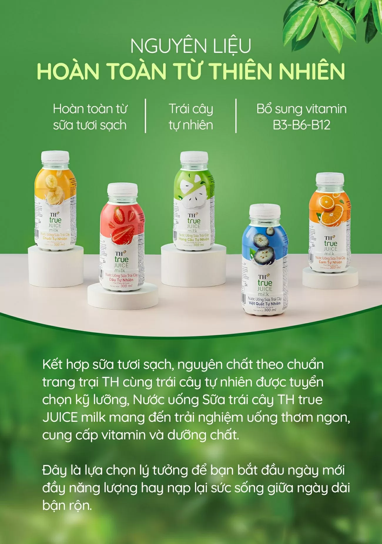Nước uống Sữa trái cây mát lịm - thức uống giải nhiệt tiếp năng lượng cho Gen Z