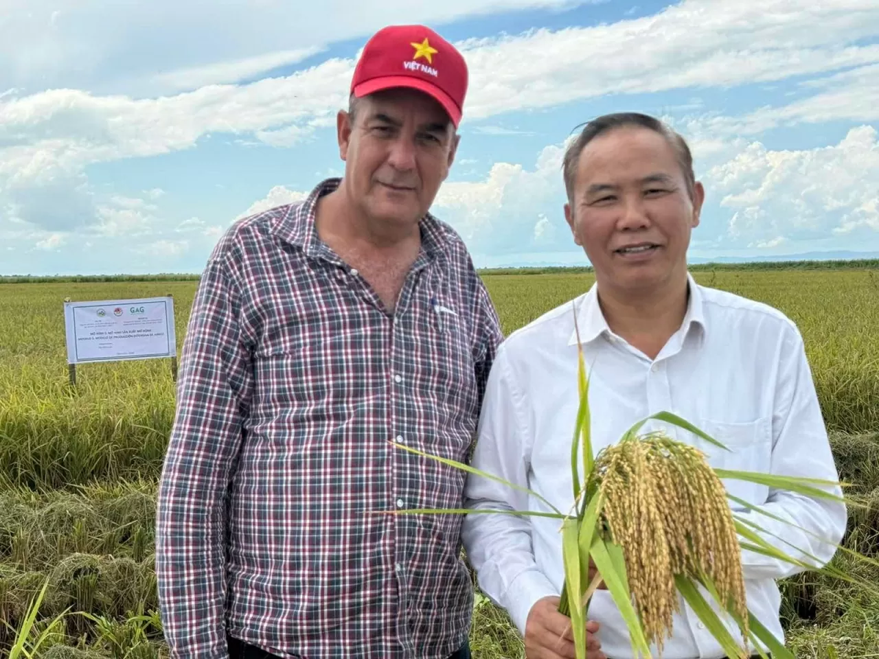 Hợp tác nông nghiệp Việt Nam-Cuba mở rộng từ lúa gạo sang chăn nuôi, thủy sản và công nghệ sinh học