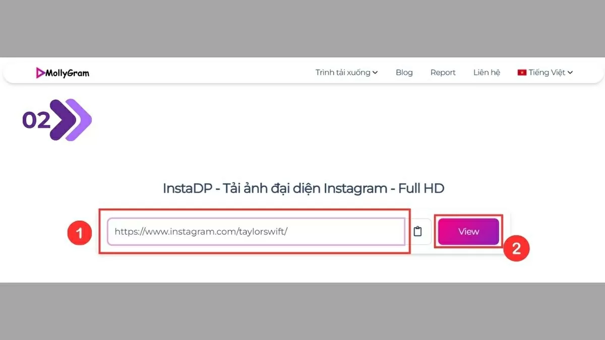 Nhập username hoặc link hồ sơ. Nhập username hoặc link hồ sơ.