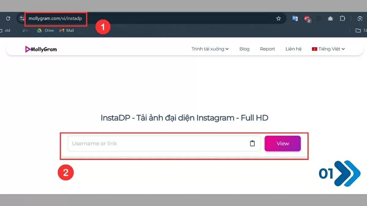 Mở Instadp trên trình duyệt. Mở Instadp trên trình duyệt.