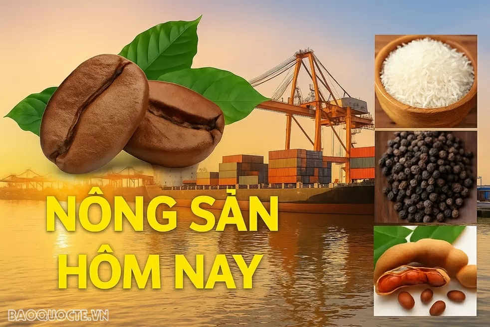 Giá nông sản hôm nay 1/7/2026: Giá cà phê
