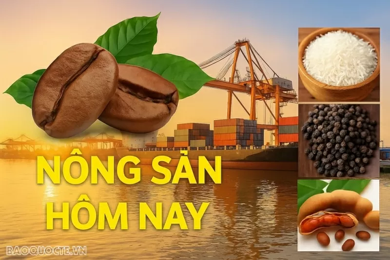 Giá nông sản hôm nay 27/8/2026: Giá cà phê giảm mạnh trên các sàn, niên vụ 2025-2026 dư cung;