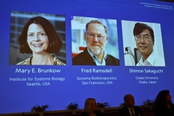 Lộ diện ba chủ nhân của giải Nobel Y sinh