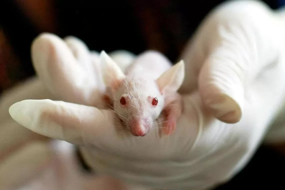 Virus Covid-19 có thể ảnh hưởng tới các thế hệ sau