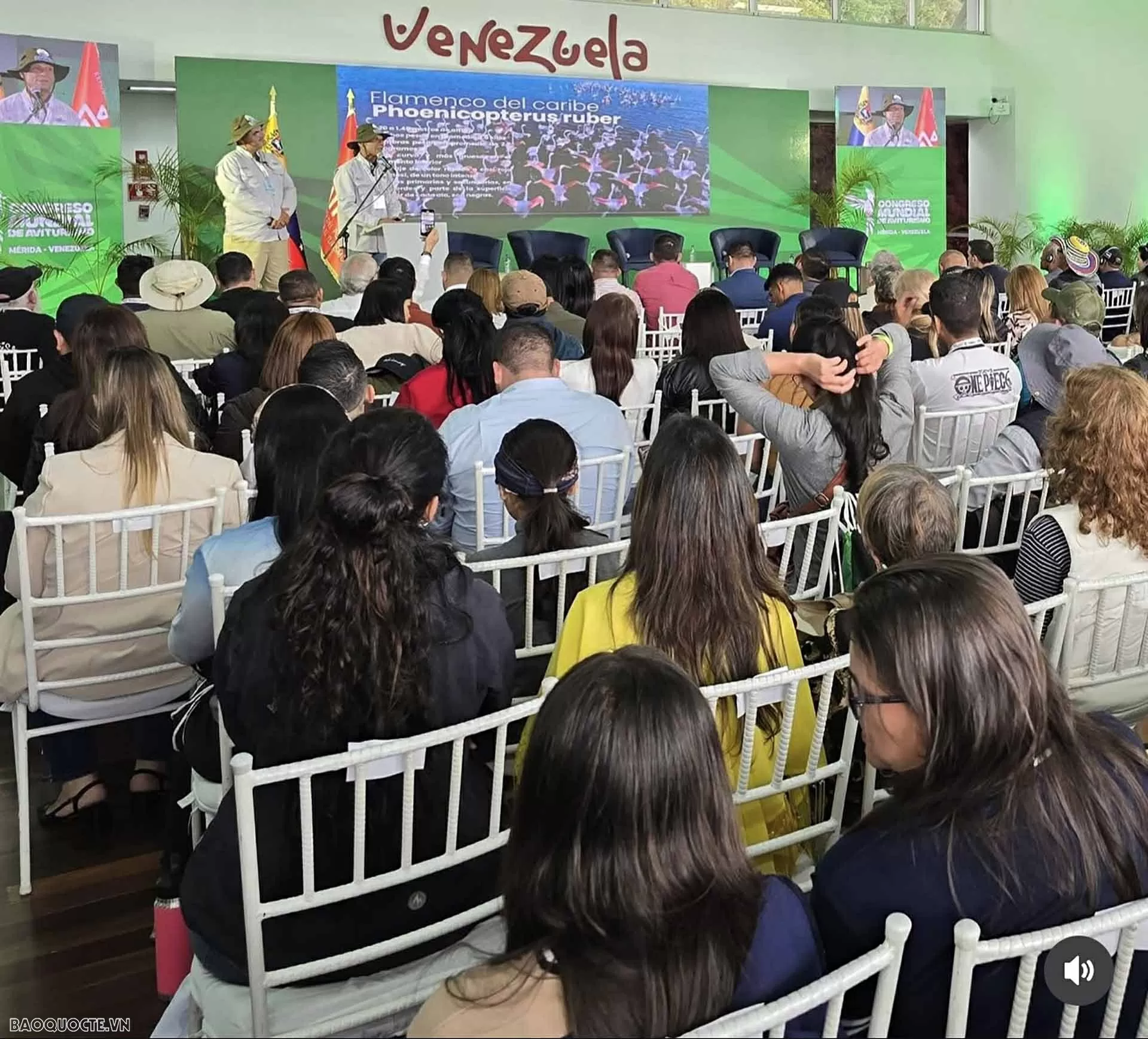Việt Nam tham dự Đại hội thế giới về du lịch khám phá đời sống chim hoang dã tại Venezuela Việt Nam tham dự Đại hội thế giới về du lịch khám phá đời sống chim hoang dã tại Venezuela