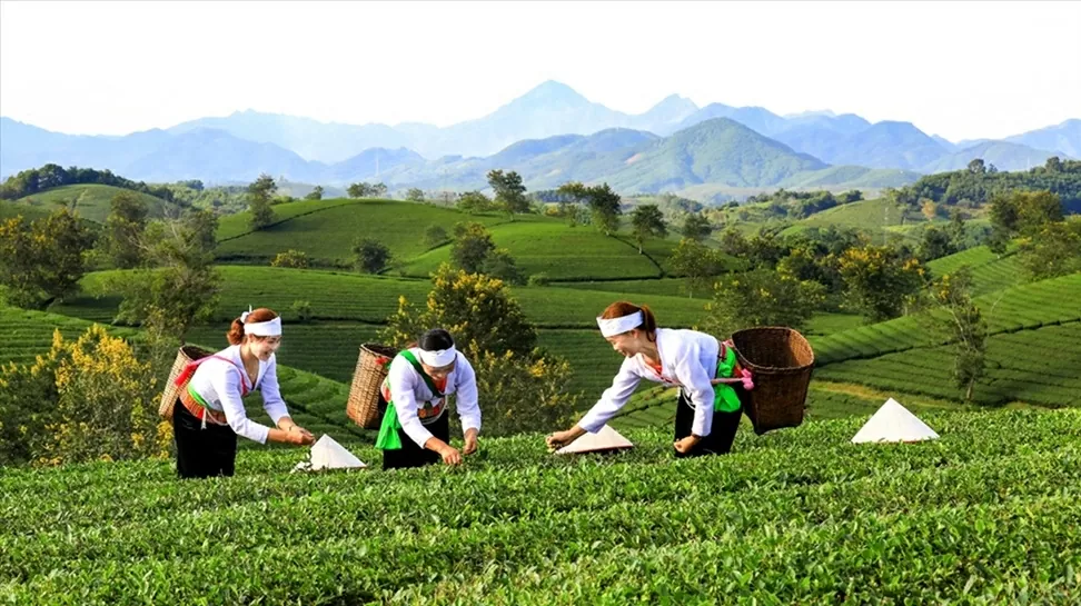 (Nguồn: Báo Dân tộc)