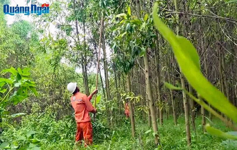 Lịch cúp điện Quảng Ngãi hôm nay ngày 22/10/2025 Lịch cúp điện Quảng Ngãi hôm nay ngày 22/10/2025