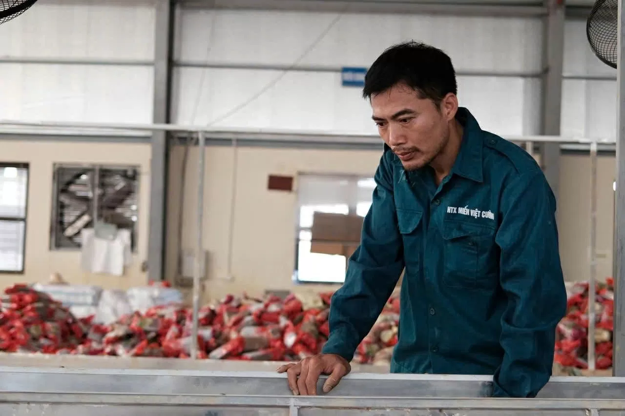 Anh Nguyễn Văn Ba, Giám đốc Hợp tác xã Việt Cường vẫn còn bần thần về những gì đang xảy ra. Anh Nguyễn Văn Ba, Giám đốc Hợp tác xã Việt Cường vẫn còn bần thần về những gì đang xảy ra.