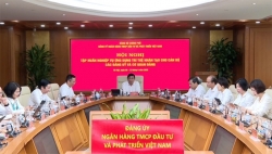 Nâng cao năng lực tổ chức thực hiện chủ trương, đường lối của Đảng; bảo đảm sự lãnh đạo, chỉ đạo của Đảng thông suốt từ Trung ương tới cơ sở tại BIDV