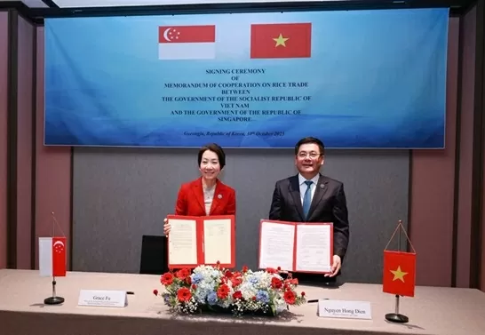 Singapore có thỏa thuận đầu tiên về thương mại gạo, vì sao chọn Việt Nam? Singapore có thỏa thuận đầu tiên về thương mại gạo, vì sao chọn Việt Nam?