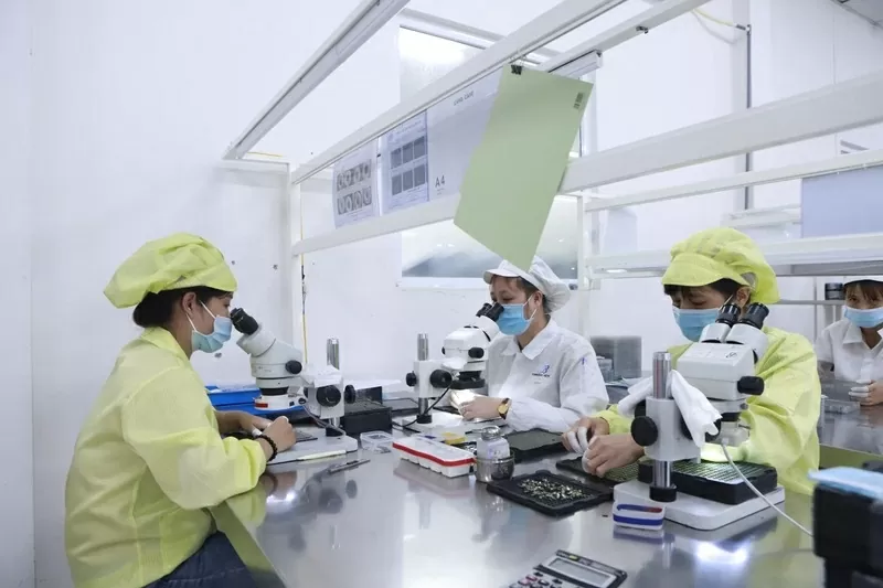Private sector drives Phu Tho's breakthrough on a new journey