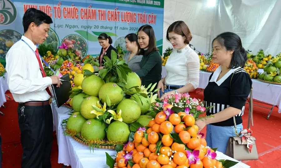 Lễ hội trái cây Bắc Ninh 2025 có nhiều điểm khác biệt. (Nguồn: Báo Bắc Ninh)