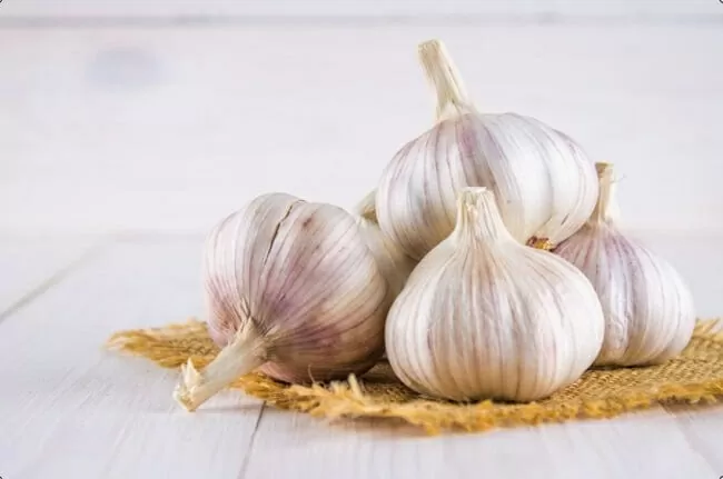 Phòng ngừa và hỗ trợ điều trị cúm A bằng tỏi