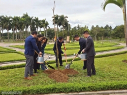 Colombia trao tặng 25 cây me tây cho thành phố Hà Nội