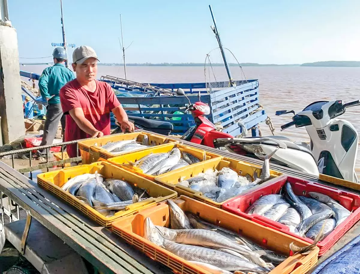 Cảng Trần Đề: 'Hạt nhân' trong chiến lược trở thành trung tâm kinh tế biển đa ngành của Cần Thơ