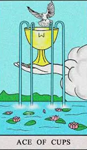 Bài tarot hôm nay 1/12: Ai đang mong muốn gặp được bạn? Bài tarot hôm nay: