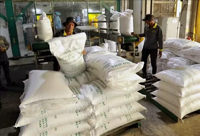 Xuất khẩu gạo Việt Nam tìm thị trường mới; nông dân tại Đồng Tháp đang gặp khó