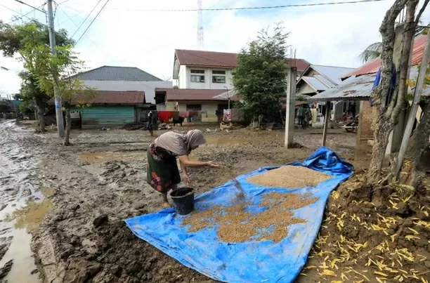 Lũ lụt và lở đất ở Indonesia: Một triệu người phải sơ tán, số người tử vong vượt quá 600