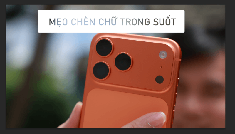 Thành quả.