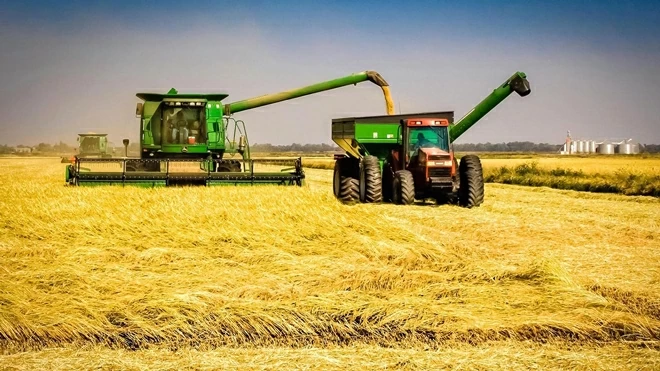 Nga áp đặt hạn ngạch xuất khẩu gạo