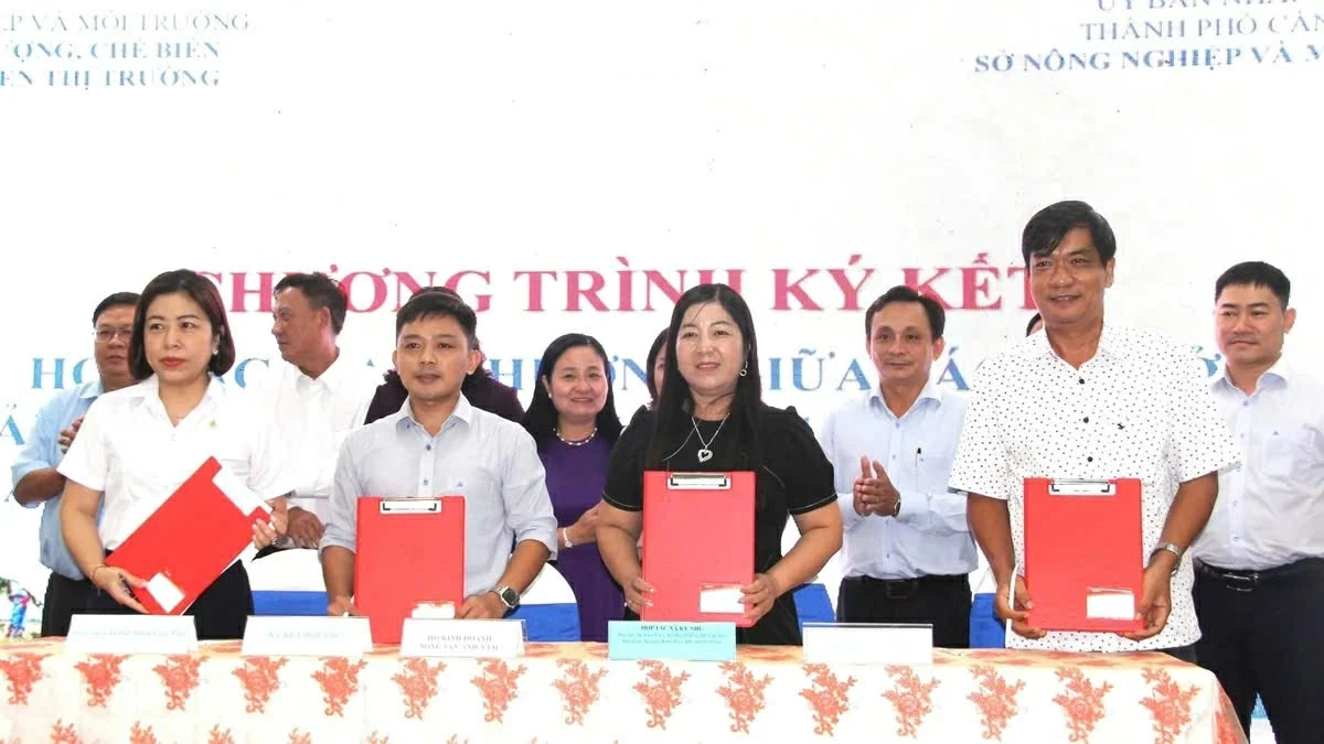 Cần Thơ: Thúc đẩy kết nối giao thương, hình thành chuỗi giá trị nông lâm thủy sản bền vững
