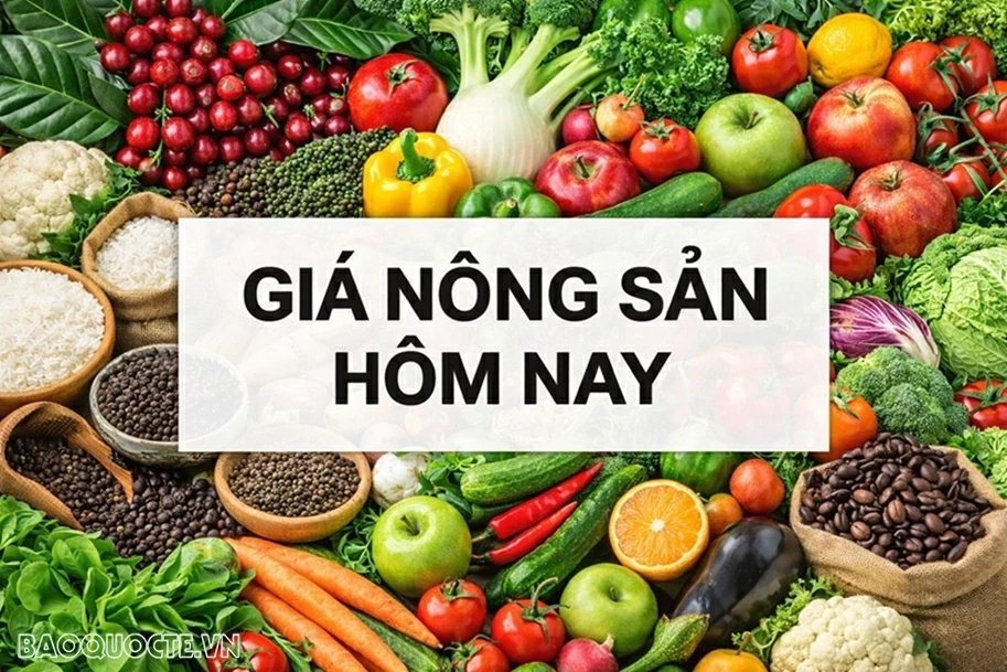 Giá nông sản hôm nay 12/2/2026: Giá cà phê trong nước 2026 có tín hiệu tích cực; Nguồn thu tăng 300%, Tòa án tối cao Mỹ khó đưa phán quyết về thuế qua