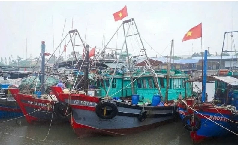 Chống khai thác IUU: Hải Phòng 'làm sạch' dữ liệu tàu cá, Lâm Đồng là điểm sáng