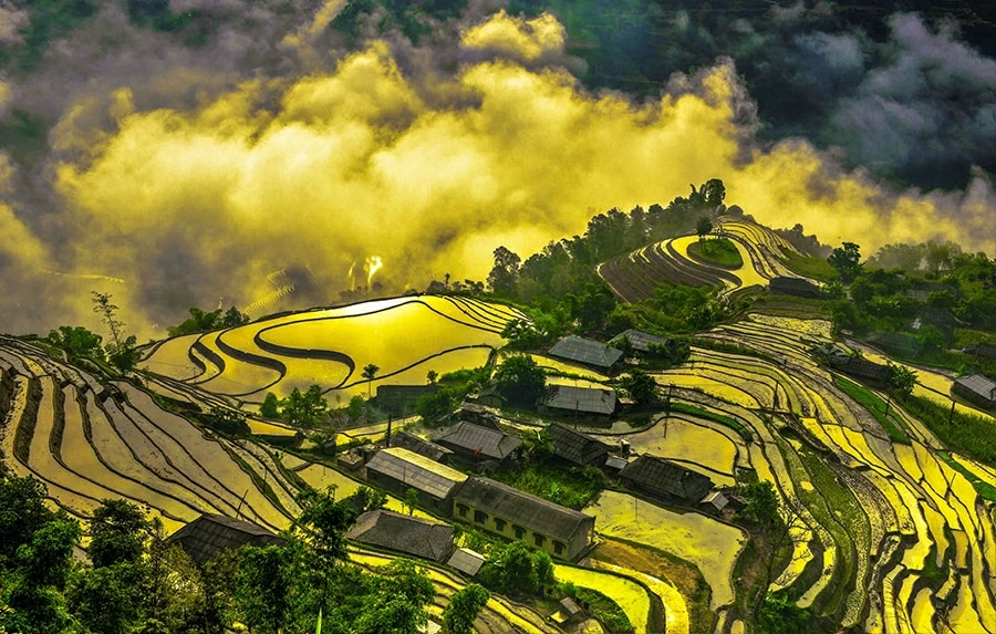 Gần 100 gôn thủ kiều bào tranh tài tại Giải Golf người Việt toàn thế giới năm 2026