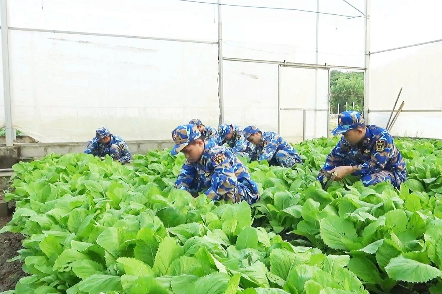 Lữ đoàn 162 – Lữ đoàn thép nơi đầu sóng