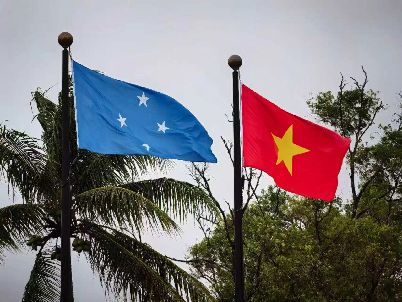 Đại sứ Phạm Thanh Bình trình Quốc thư lên Tổng thống Liên bang Micronesia Đại sứ Phạm Thanh Bình trình Quốc thư lên Tổng thống Liên bang Micronesia