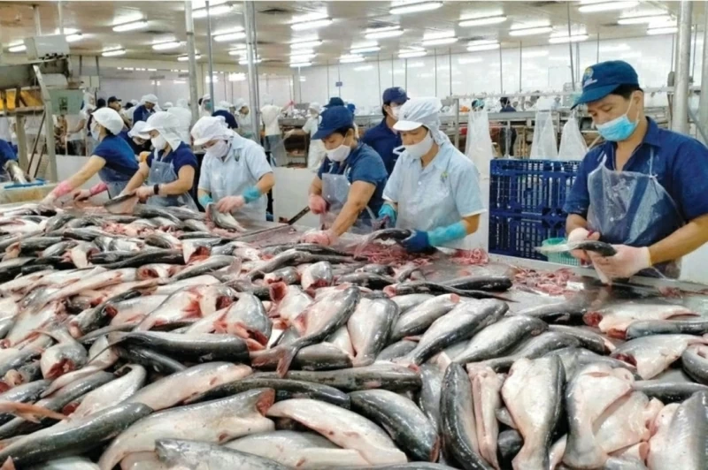 Thành công của VEFTA đo bằng những dự án được triển khai