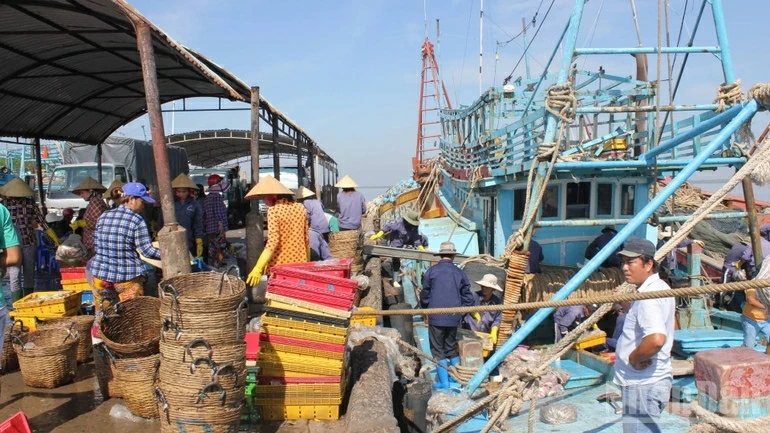Chống khai thác IUU: Quảng Trị thành lập 2 tổ kiểm soát liên ngành bám ngư trường; Vĩnh Long kiểm soát nghiêm hoạt động tàu cá ra, vào cảng