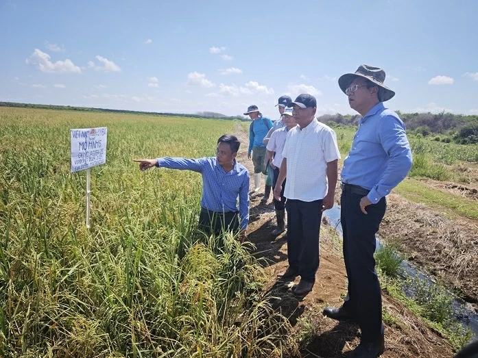Đại hội Đảng lần thứ XIV: Tại Cuba, chúng tôi tràn ngập sự tin tưởng, kỳ vọng và niềm tự hào dân tộc sâu sắc