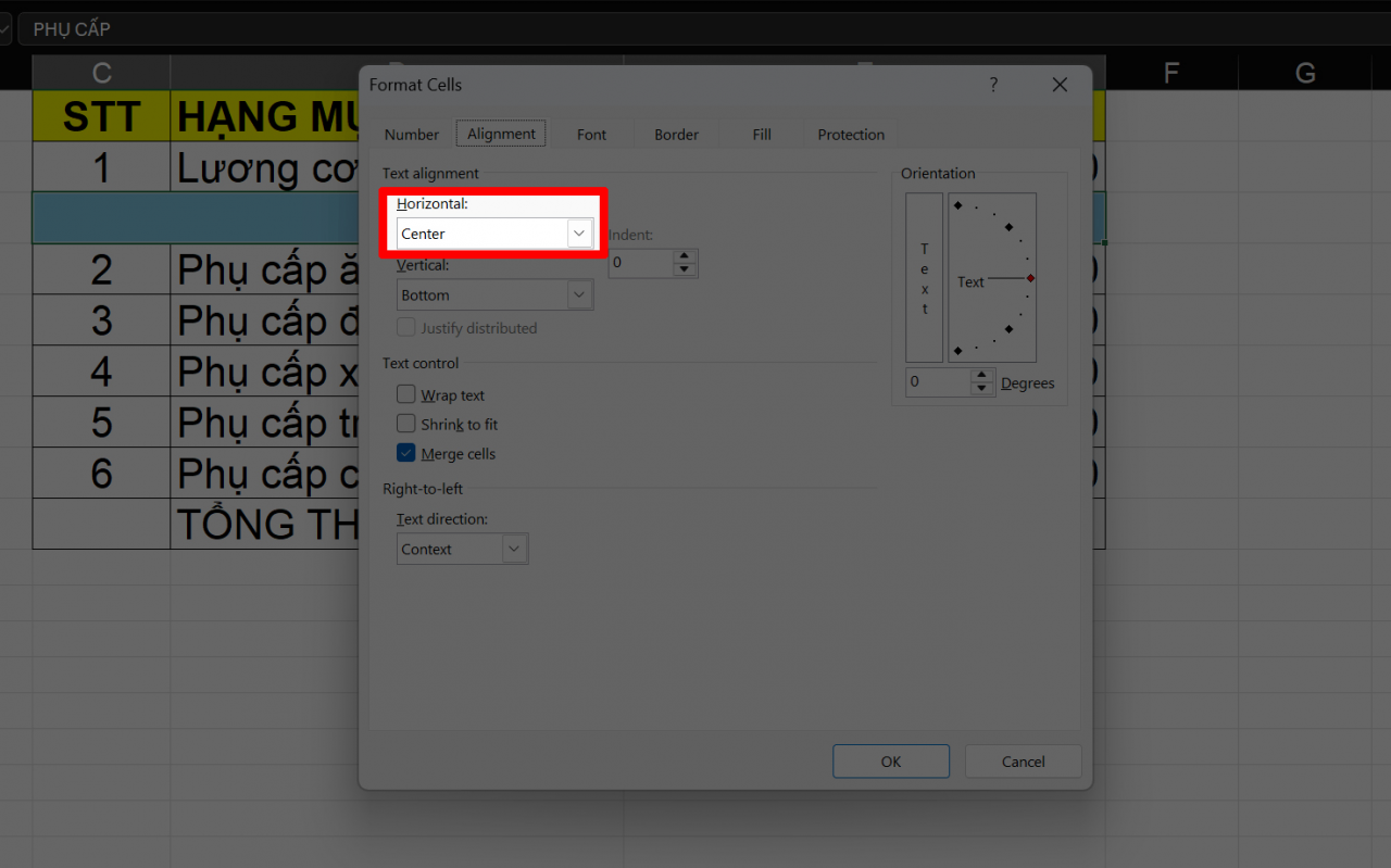 Tại mục Horizontal, chọn Center Across Selection. Tại mục Horizontal, chọn Center Across Selection.