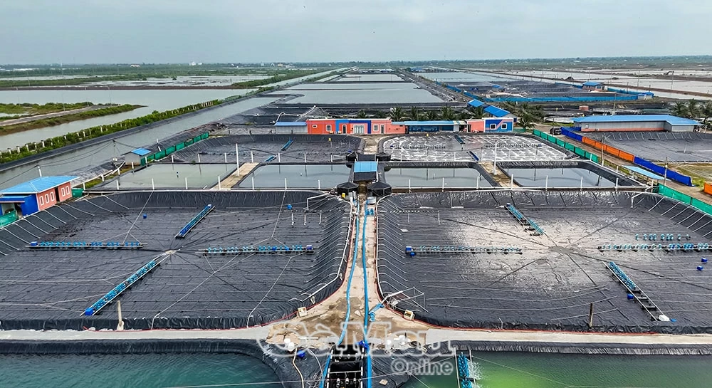 Huy động hiệu quả nguồn lực, phát huy tiềm năng, lợi thế - Động lực đưa Cà Mau phát triển nhanh và bền vững trong kỷ nguyên mới
