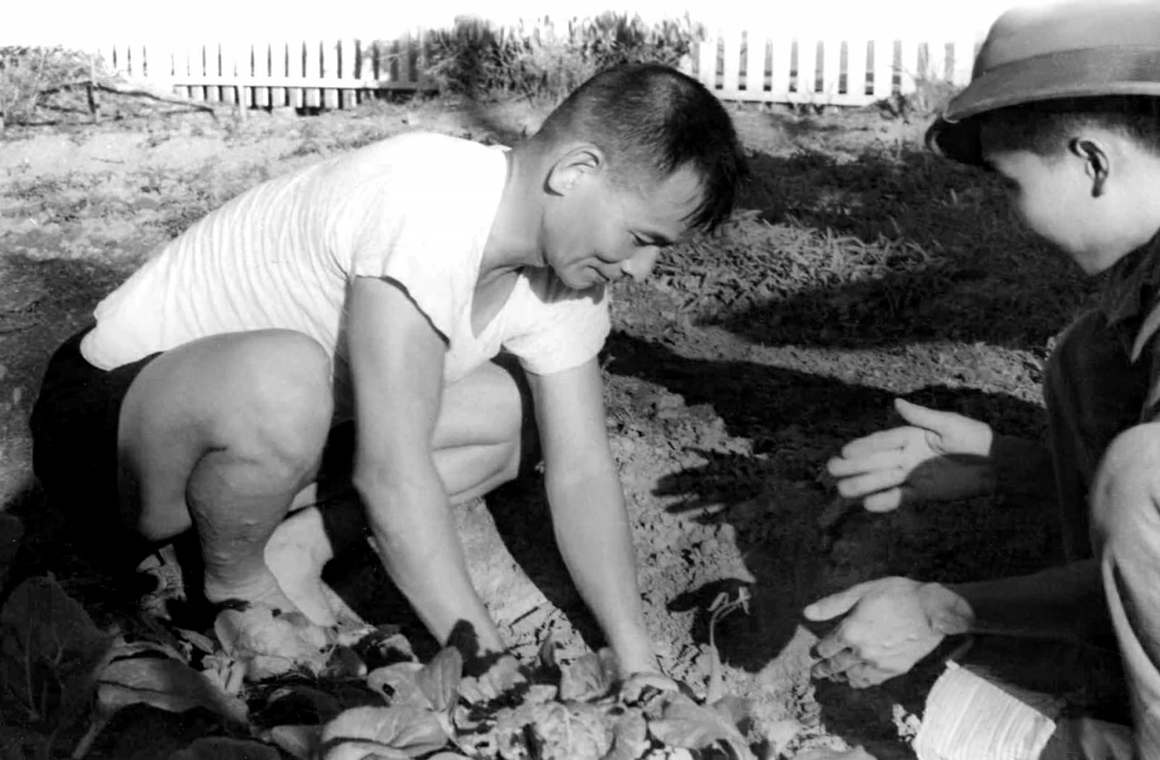 34.Số Tết - Hoa, rau xanh và Tết ở trại Davis