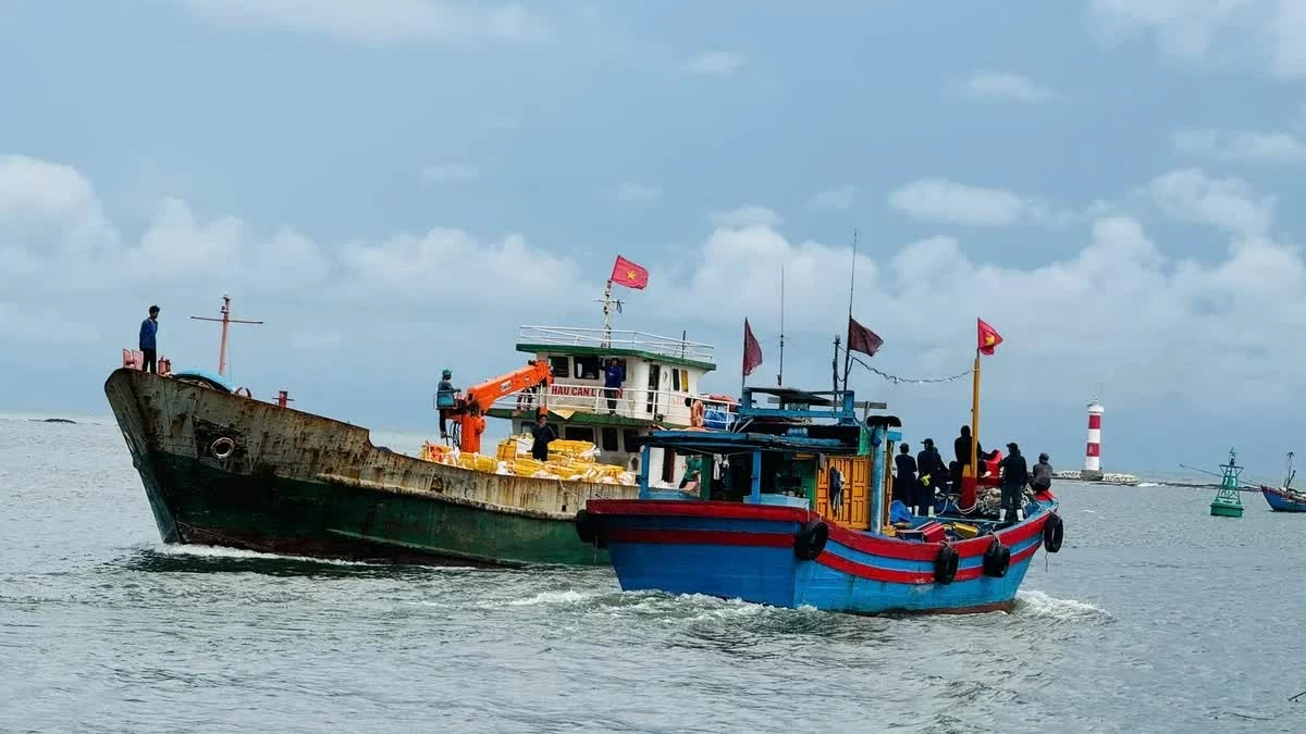 Chống khai thác IUU: