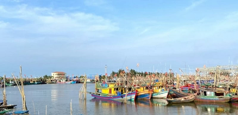 Chống khai thác IUU: