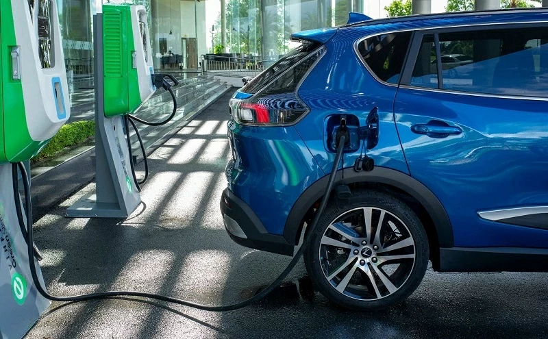 Năm 2025 đánh dấu cột mốc đáng chú ý khi VinFast có năm thứ hai liên tiếp dẫn đầu thị trường ô tô Việt Nam về doanh số.