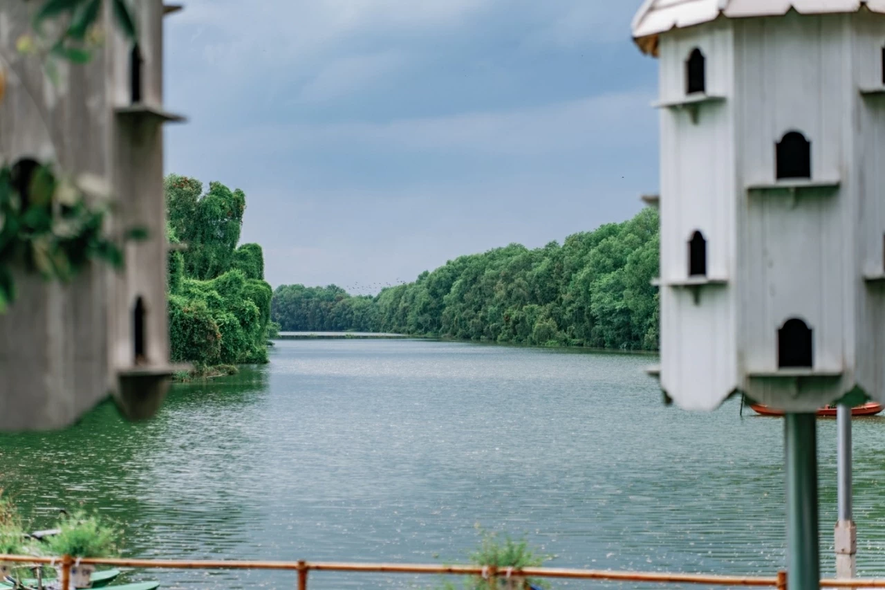 Phía xa kia, điều gì đang chờ đợi?