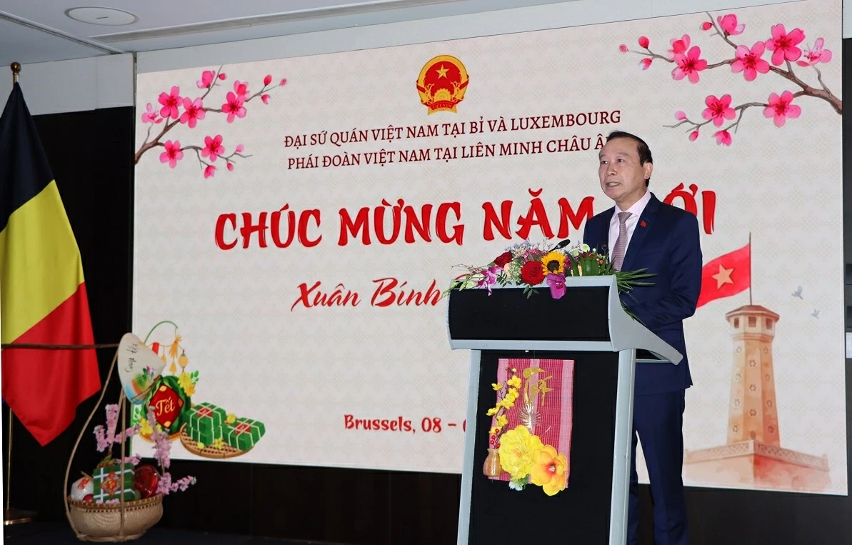 Tết cộng đồng Việt Nam mừng xuân Bính Ngọ 2026 tại Bỉ