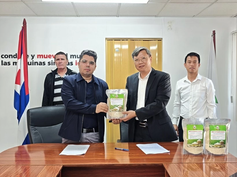 Bàn giao 250 tấn gạo do doanh nghiệp Việt Nam sản xuất tại tỉnh Pinar del Rio, góp phần bảo đảm an ninh lương thực cho Cuba